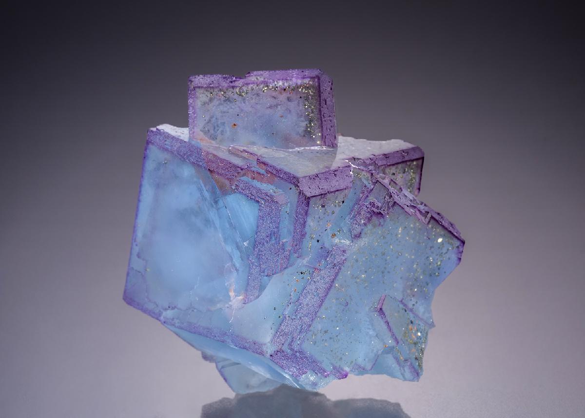 CC34292 specimen image