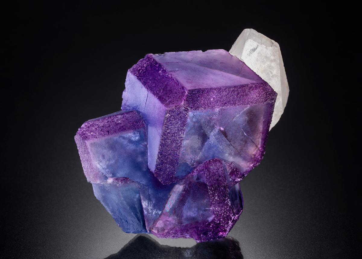 CC34304 specimen image