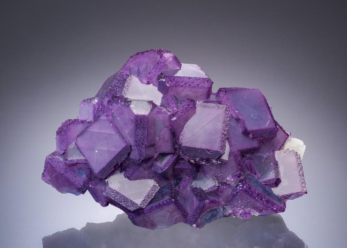 CC34307 specimen image