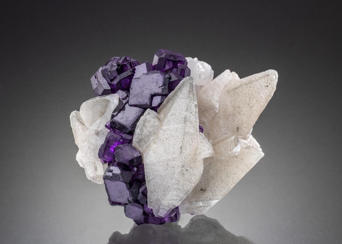 CC34310 specimen image