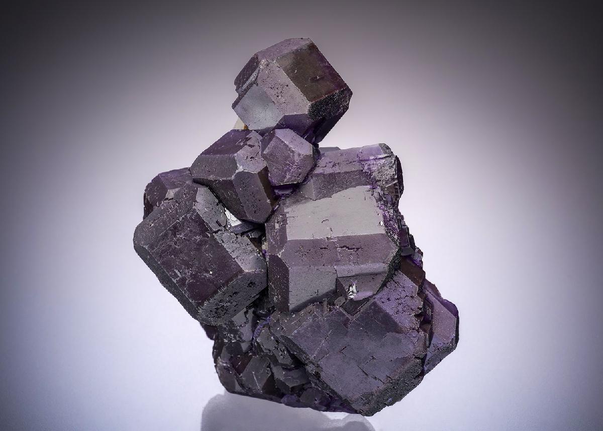 CC34316 specimen image