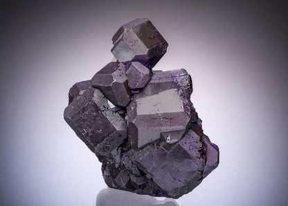 CC34316 specimen image