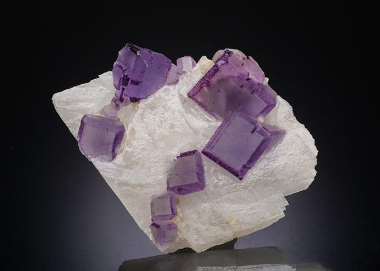 CC34319 specimen image