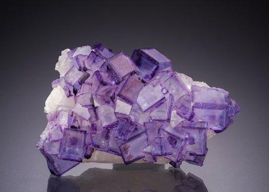 CC34328 specimen image
