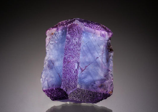 CC34352 specimen image