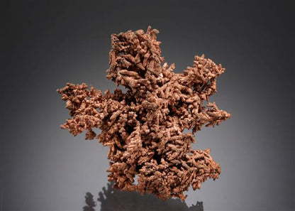 CC3441 specimen image