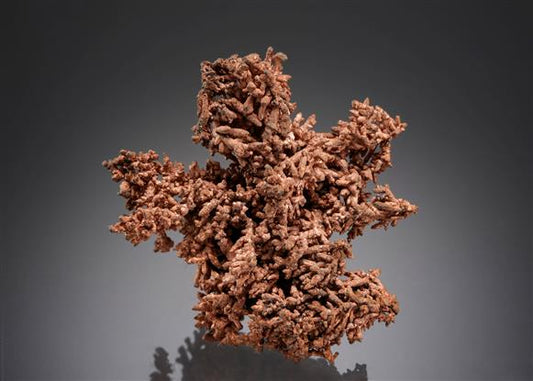 CC3441 specimen image