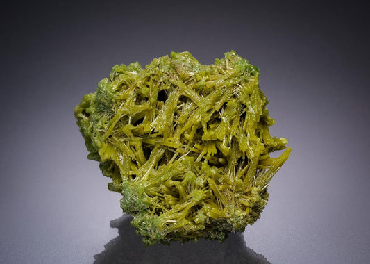 CC34425 specimen image