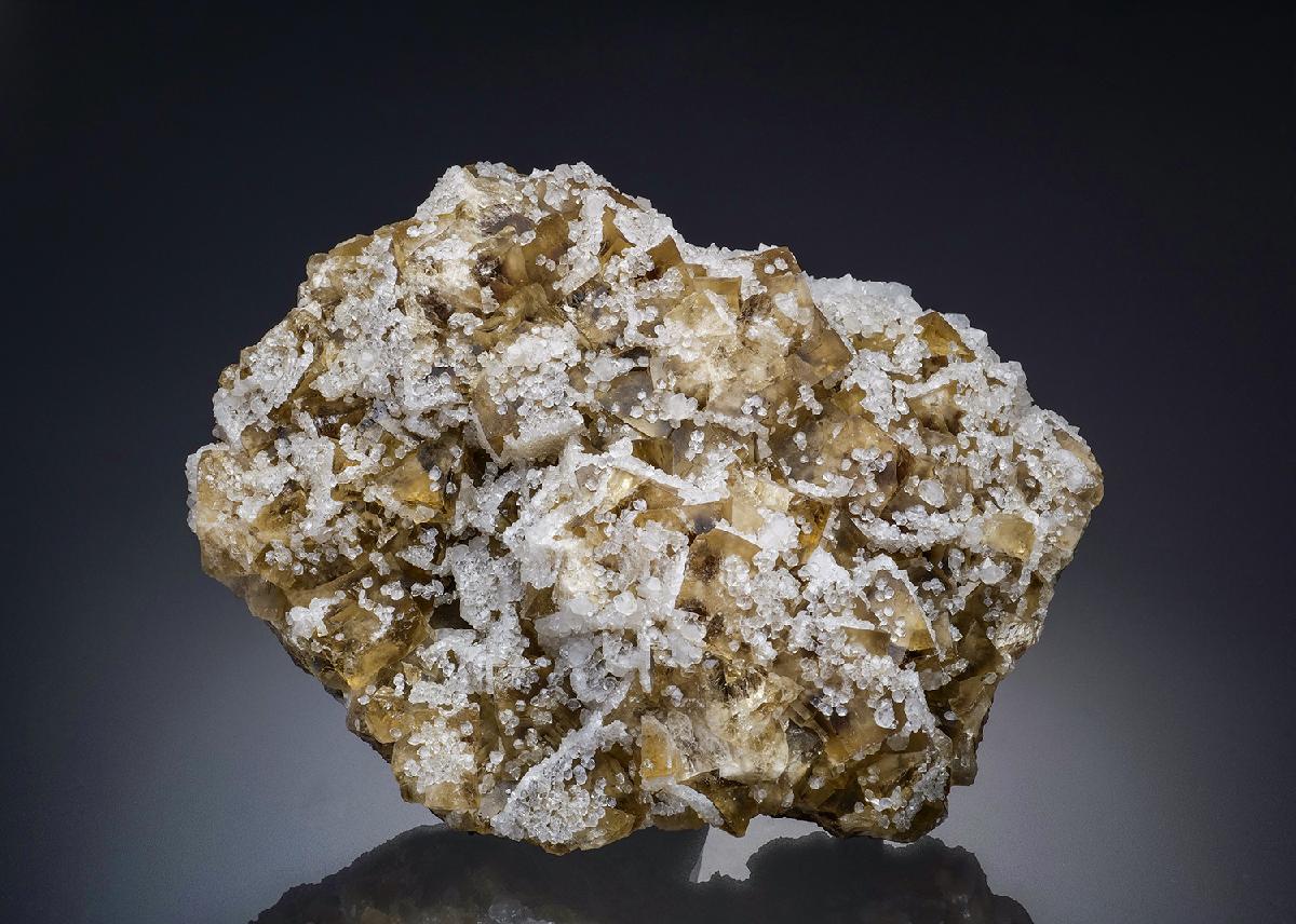 CC34428 specimen image