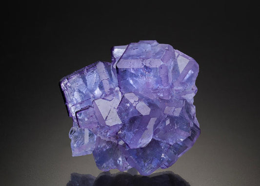 CC34479 specimen image