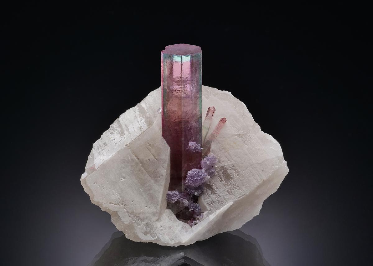 CC34520 specimen image