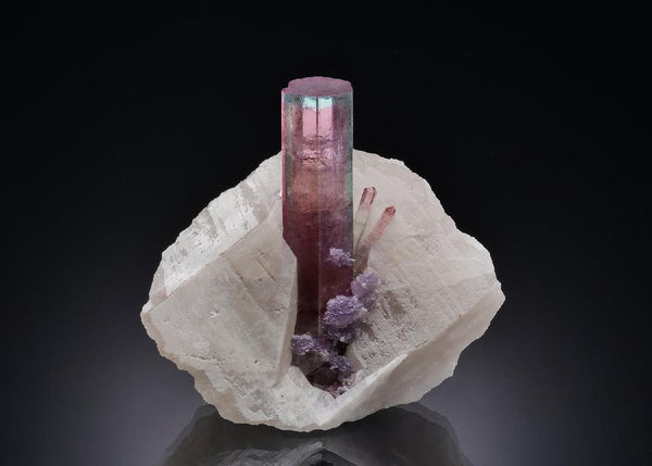 CC34520 specimen image