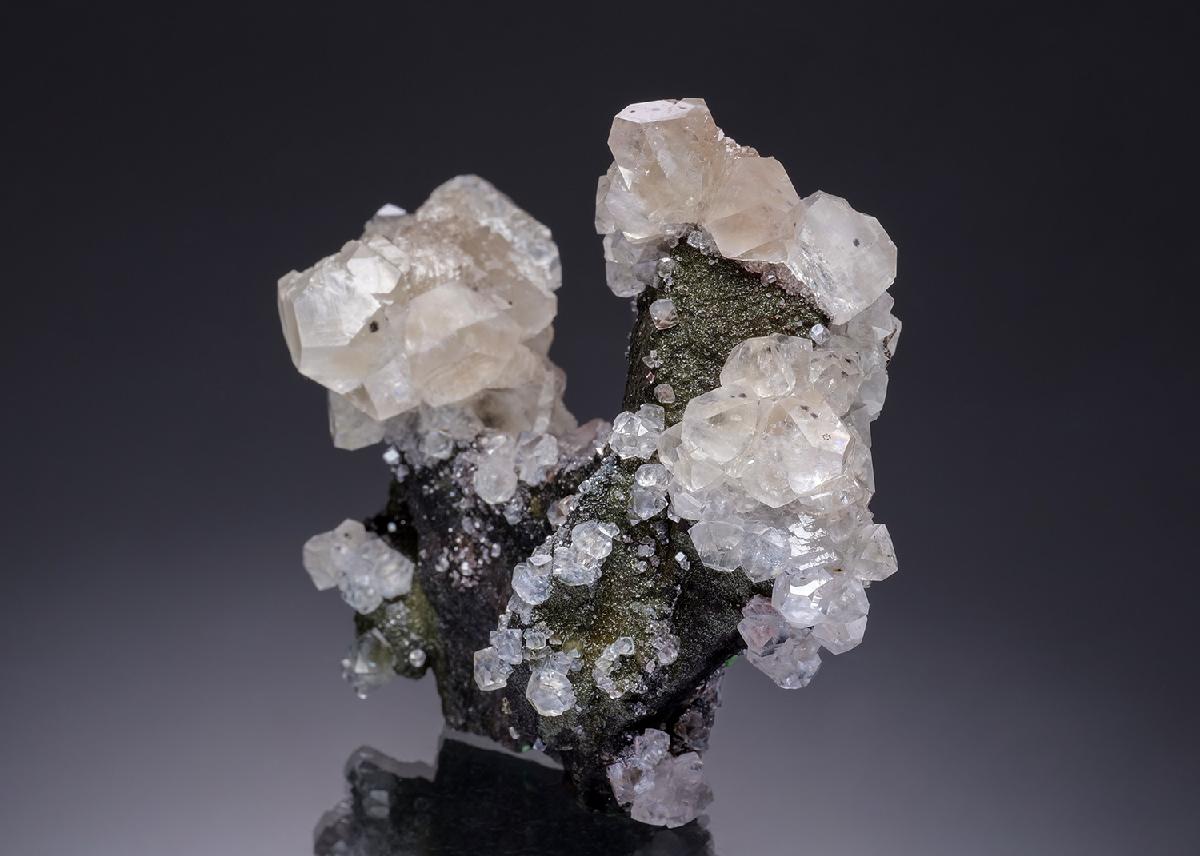 CC34565 specimen image
