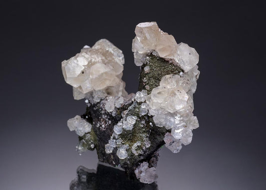 CC34565 specimen image