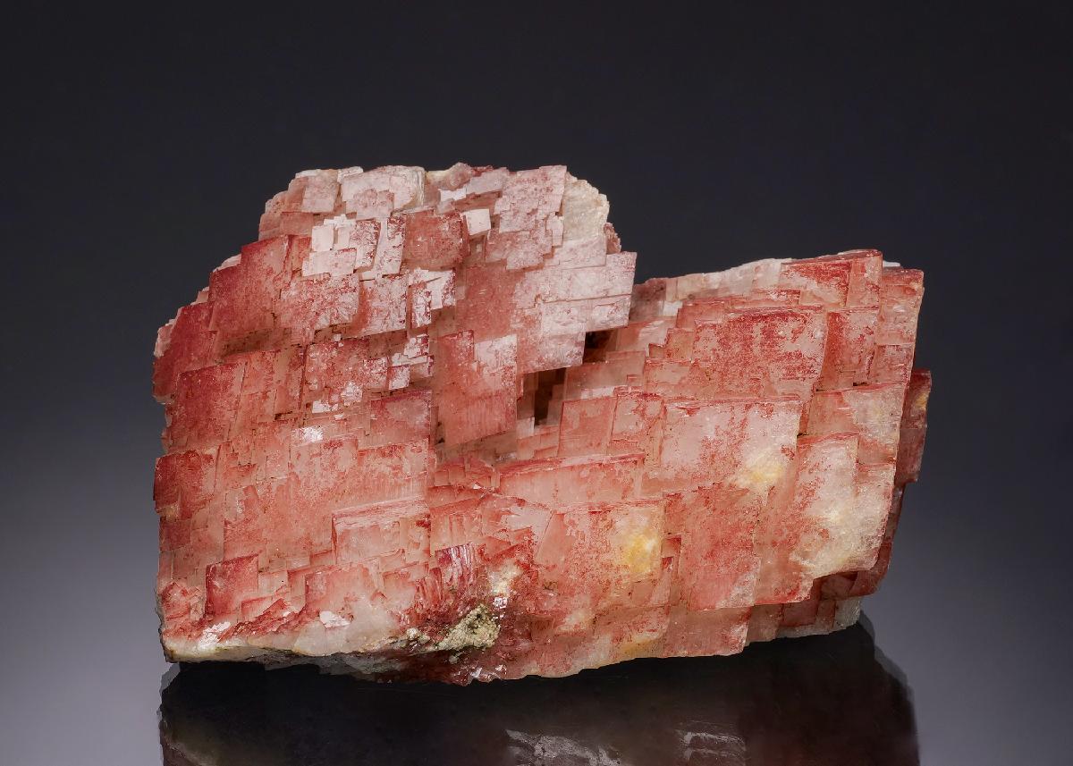 CC34589 specimen image