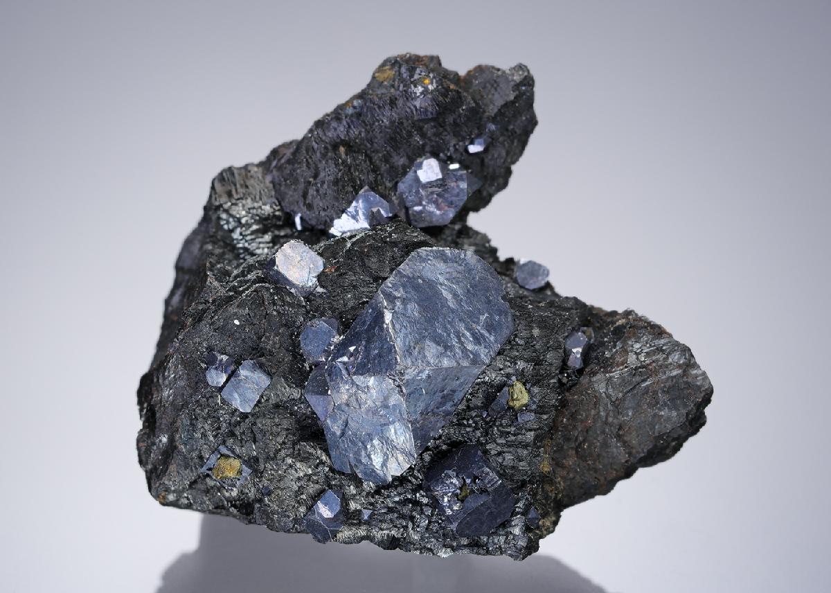 CC3463 specimen image