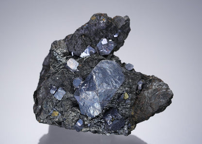 CC3463 specimen image