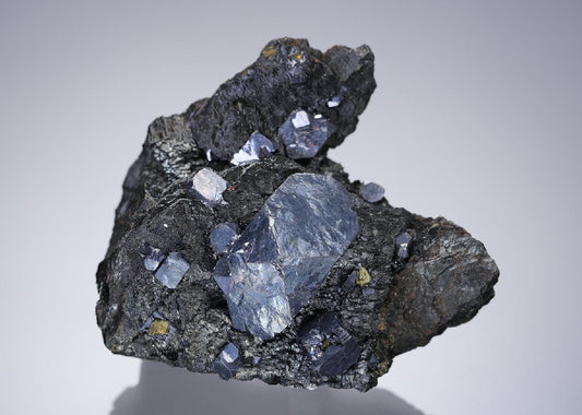 CC3463 specimen image