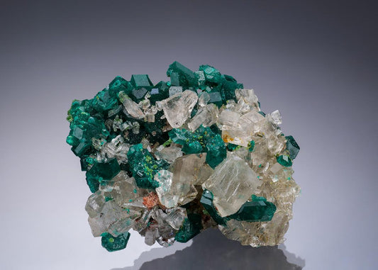 CC34670 specimen image