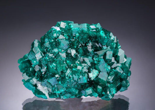 CC34682 specimen image