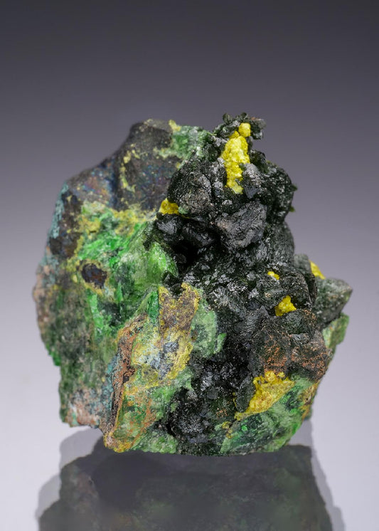 CC34688 specimen image