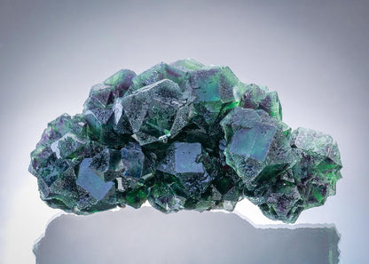 CC34739 specimen image