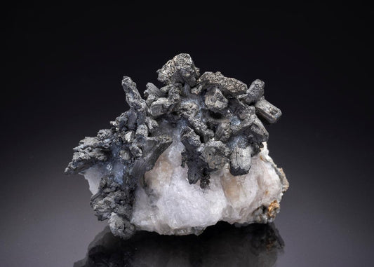 CC34763 specimen image