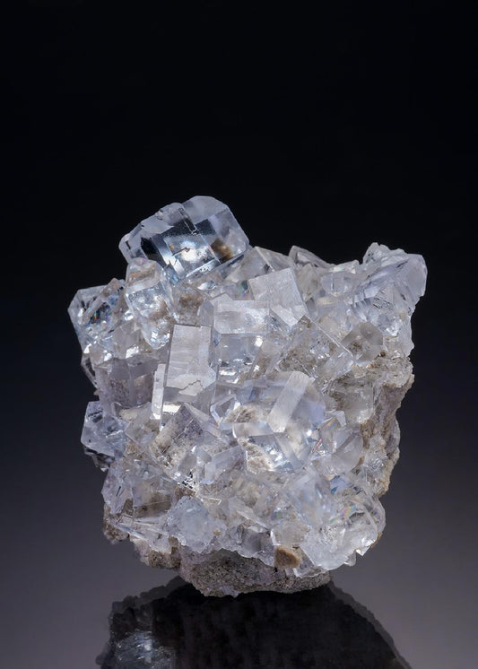 CC34784 specimen image