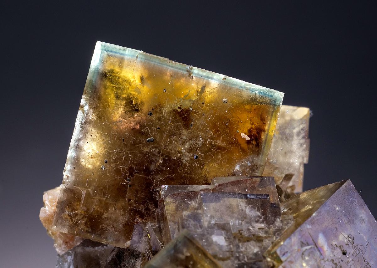 CC34796 specimen image