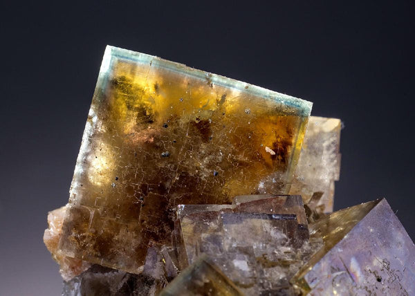 CC34796 specimen image