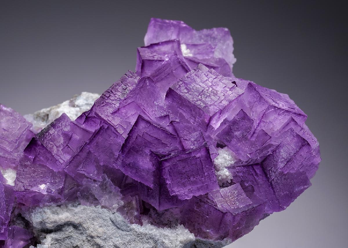 CC34802 specimen image