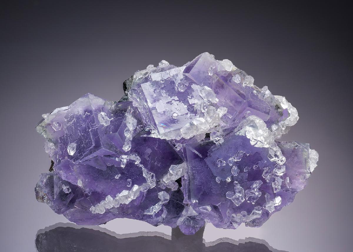 CC34805 specimen image