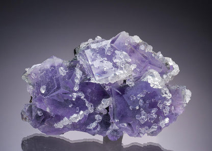 CC34805 specimen image