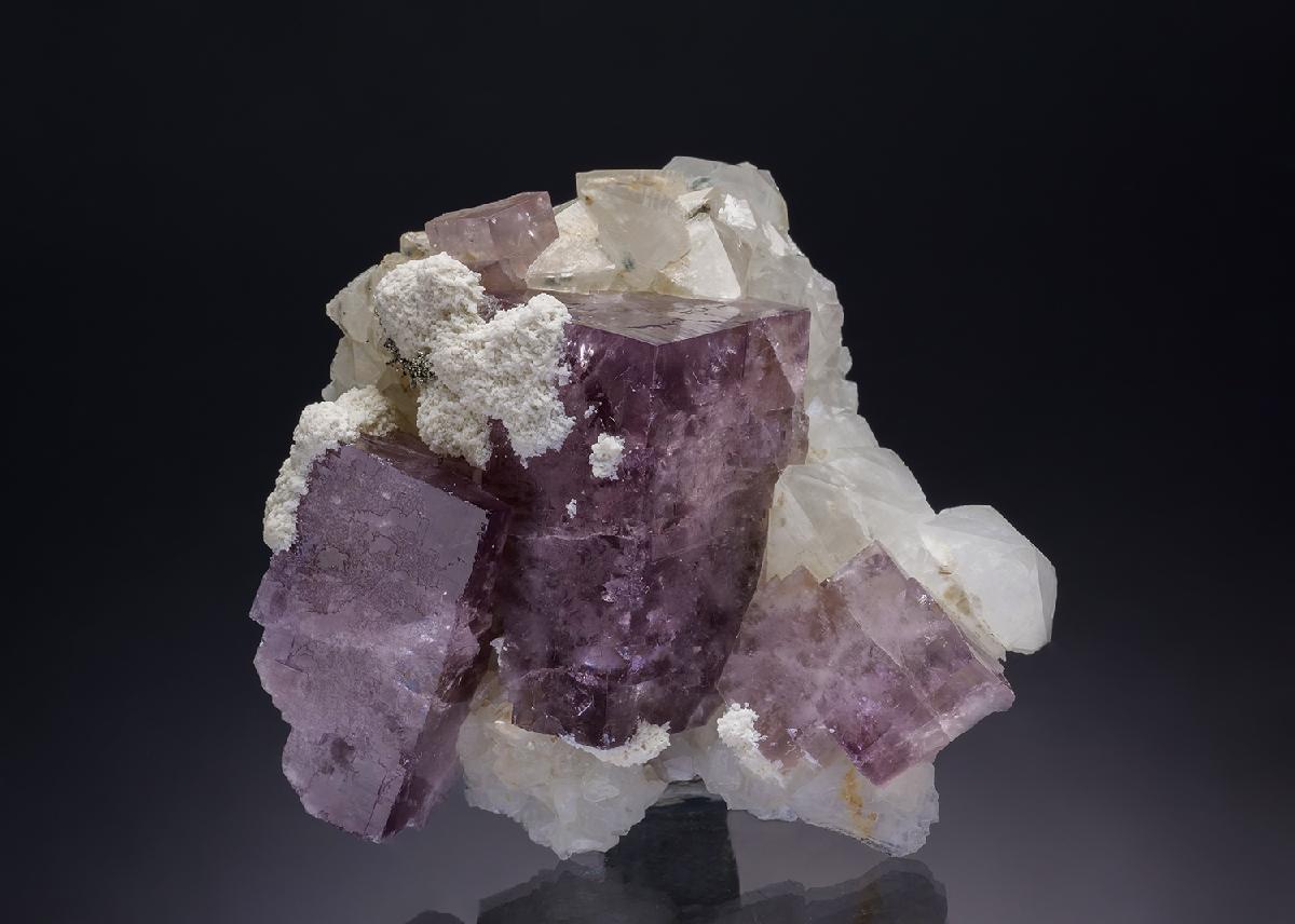 CC34811 specimen image
