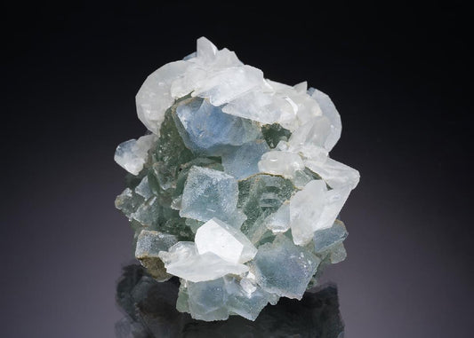 CC34817 specimen image