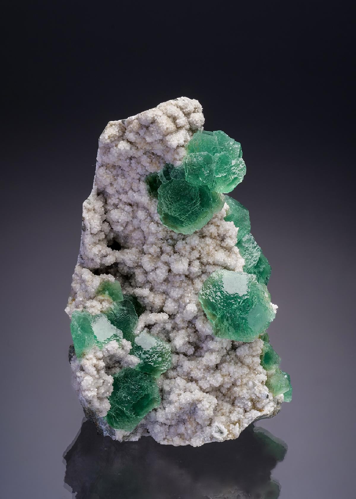 CC34829 specimen image