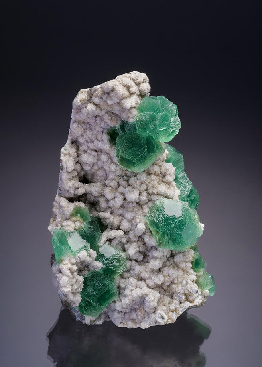 CC34829 specimen image