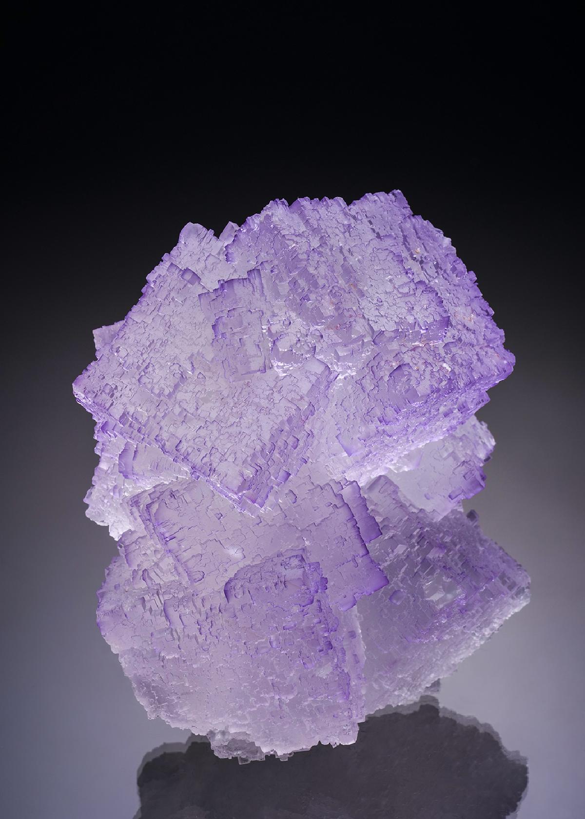 CC34832 specimen image
