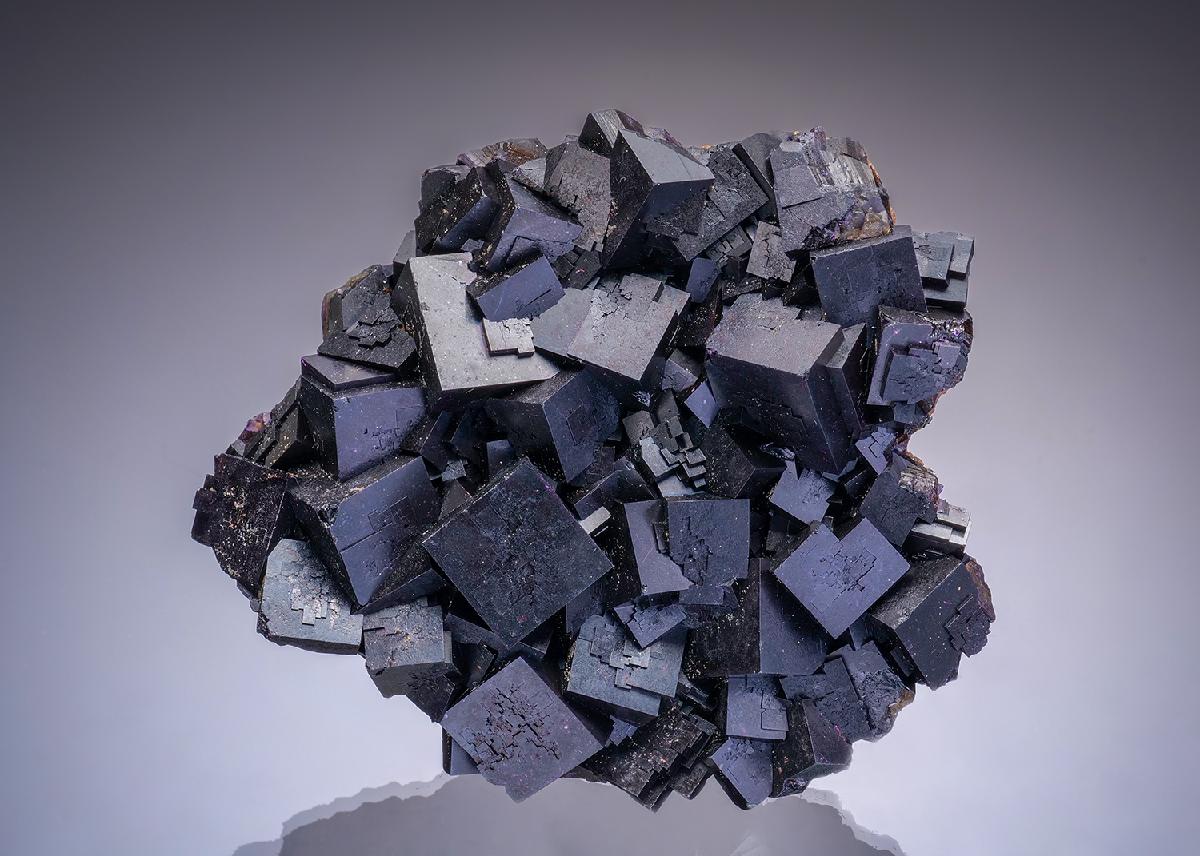 CC34838 specimen image