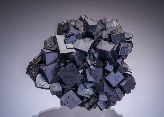 CC34838 specimen image