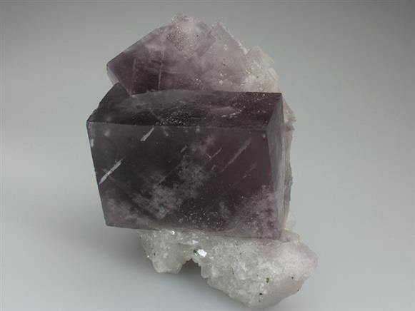 CC3484 specimen image