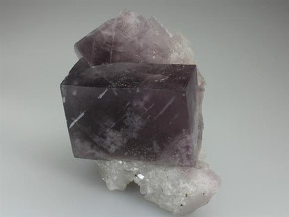 CC3484 specimen image