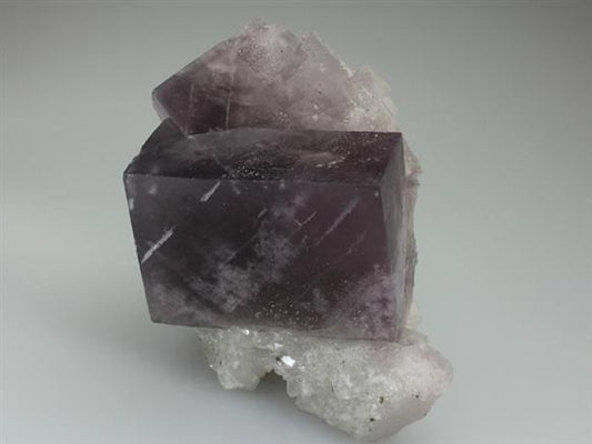 CC3484 specimen image