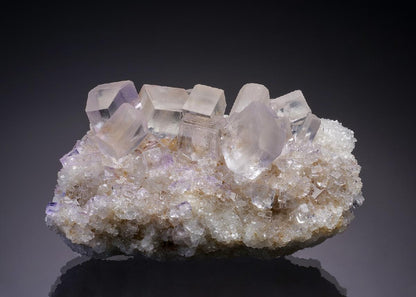 CC34853 specimen image
