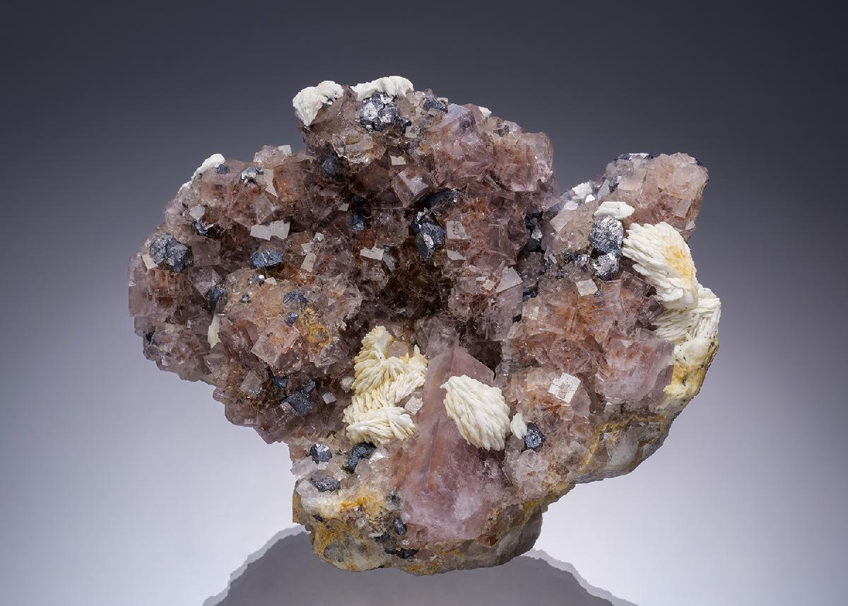 CC34883 specimen image