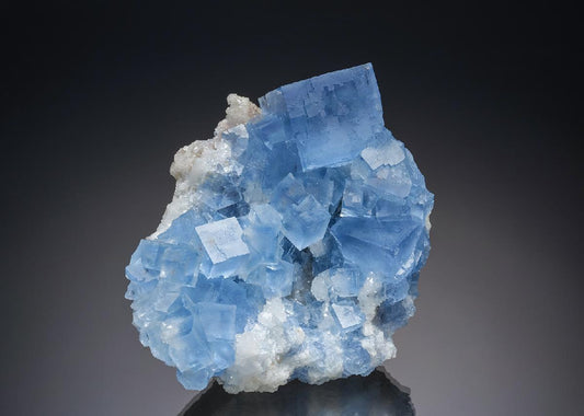 CC34889 specimen image