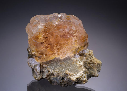 CC34898 specimen image