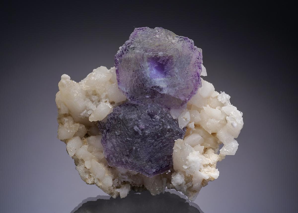 CC34910 specimen image