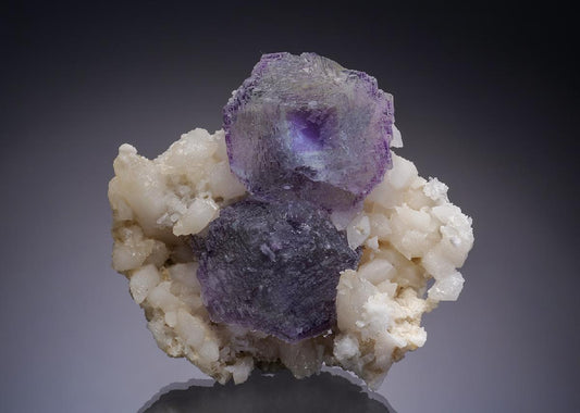 CC34910 specimen image