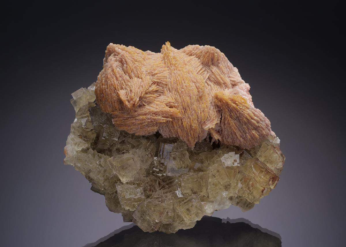 CC34913 specimen image